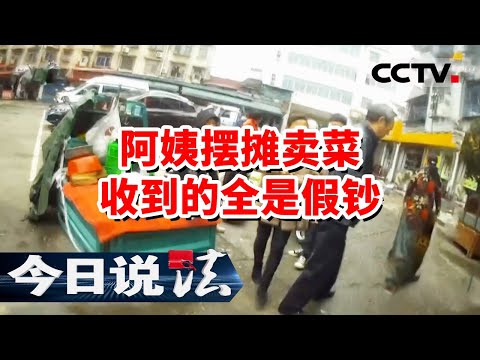 《今日说法》阿姨摆摊卖菜 以为生意火爆 不料收到的全是假钞 顺藤摸瓜 警方缴获假币4000余万元 20230902 | CCTV今日说法官方频道