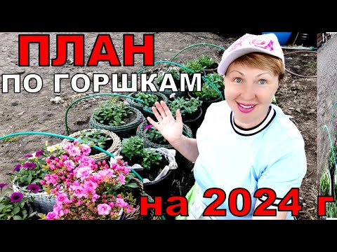 Цветы, которые я буду сажать в кашпо всегда. Планы на 2024 год. Мои миксы в кашпо