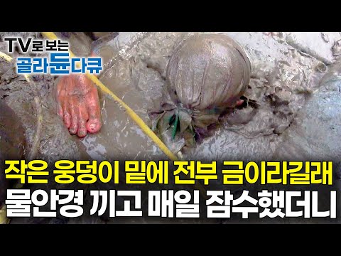 6미터 진흙탕물에서 뭘 들고 나오니 봤더니.. 한 번에 인생 역전|이젠 다른 일은 못한다는 남자|필리핀 금광|극한직업|#골라듄다큐