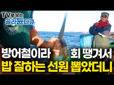 칼 가는 것만 봐도 흐뭇. 밥때 되면 알아서 방어 회 뜨러 가는 조리장이 탔다|선상먹방|극한직업|#골라듄다큐