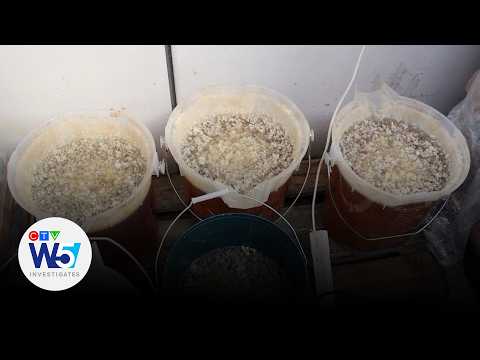 Cartel Canada | W5's Avery Haines investigates a Canadian meth pipeline