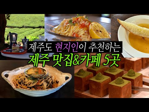제주 현지인 강력추천! 로컬 맛집&카페 TOP5 | 제주도 가볼 만한 곳