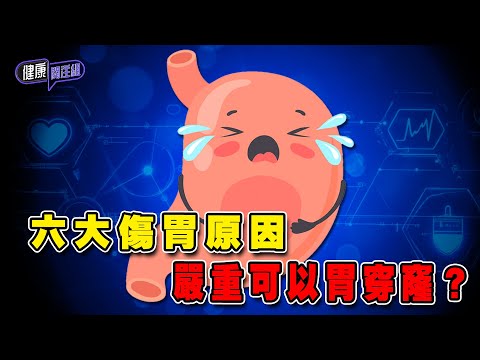 六大傷胃原因 嚴重可以胃穿窿?| 健康關注組 | EP321 | 胃 | 胃潰瘍 | 胃酸倒流 | 敖嘉年 | 麥詩敏 | HOY TV 77台