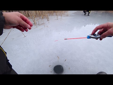 Зимова Риболовля 2024: Жерлиці на Щуку та Підводна зйомка Окуня!