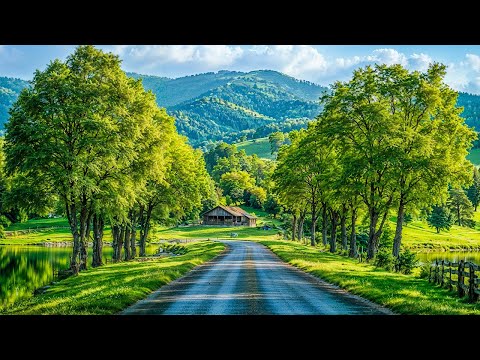 Recovery for the Nervous System 🌿 Gentle Music to Calm the Mind and Soothe the Soul