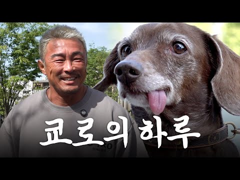 A Day in the Life of Star Dog Kyoro and Her Manager Mister Choo (ft. Kyoro's Entire Family)