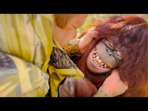 Олег Зубков пришел к Дане! Это НАДО ВИДЕТЬ,какими глазами она на него смотрит!