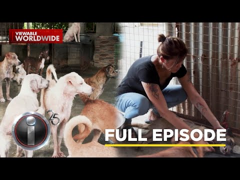 ‘Aspin,’ dokumentaryo ni Kara David (Full Episode) | I-Witness