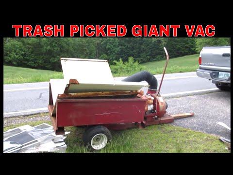 Can We Save This Rotted Out Leaf Sucker?