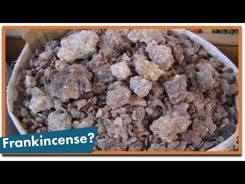 What Are Frankincense and Myrrh?