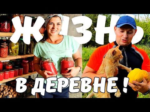 Деревенская Жизнь в Глухом Селе. Ремонт Погреба. Сбор Урожая. Заготовки на Зиму.