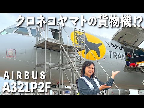 【航空】機長は元自衛官!?クロネコヤマトの貨物機があるって知ってた?【ヤマトグループフレイター】エアバスYamatoA321P2F
