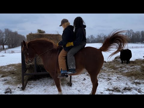 Put My Sister On A Horse