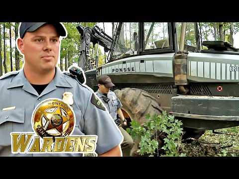 Wardens: Timber Theft | FD Real