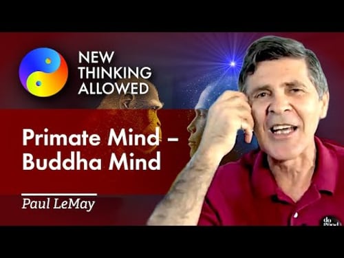 Primate Mind – Buddha Mind with Paul LeMay (4K Reboot)
