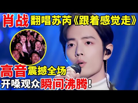 肖战翻唱苏芮《跟着感觉走》,高音震撼全场!一开口观众瞬间沸腾了【最美歌声·精编版】#肖战