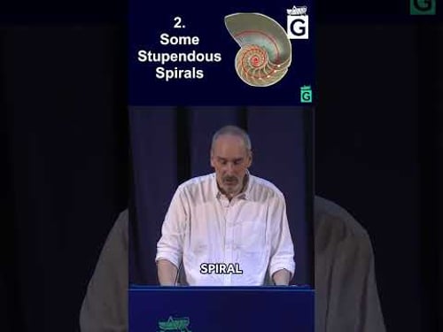 The Nautilus Spiral: Mathematical Secret