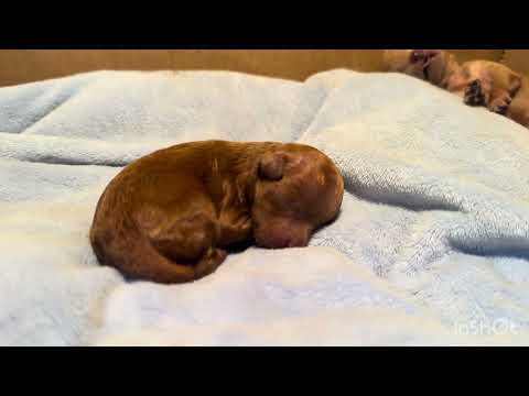 I can't eat enough, mom.