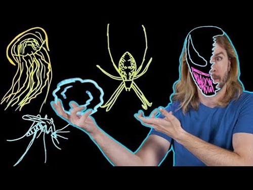 What Kind of Symbiote Is Venom?