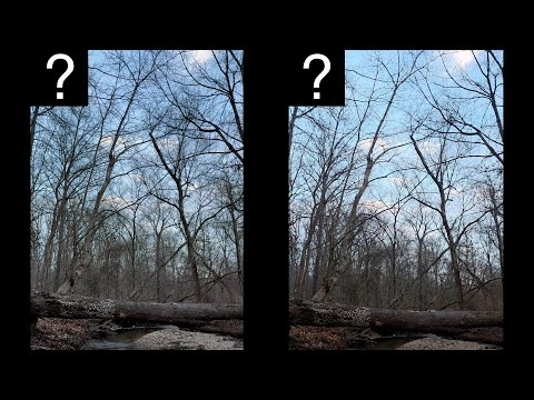 People Love Processed Videos | iPhone 16 Pro Max vs Galaxy S25 Ultra