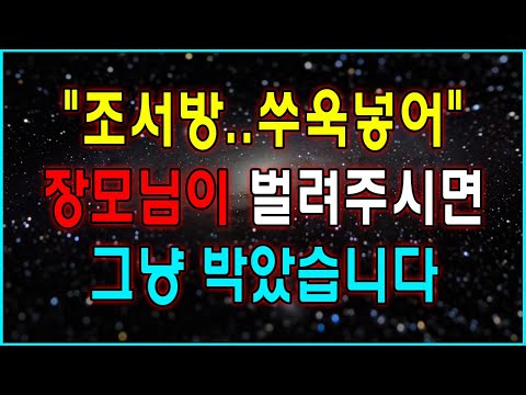 장모님이 벌려주시면 천생연분...