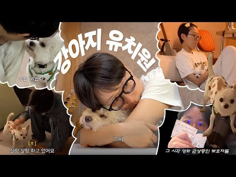 ๊ฐ์์ง ์ ํค์๋ณธ ์ฌ๋์ ์ ์น์ VLOG