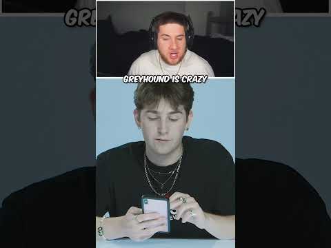 grey hound is crazy🤣 #stream #funny #trending #viral