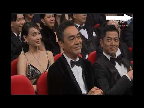 第43屆香港電影金像獎 最佳男主角 劉青雲