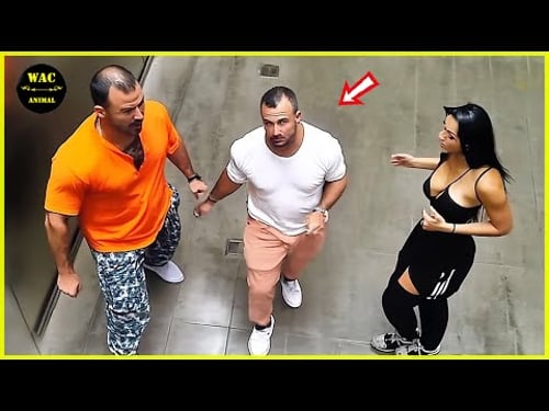 50 Real Life Superheroes Caught on Camera! #16 | Animals That Asked People for Help & Kindness!