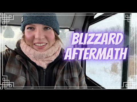 Pippa's Results and the Blizzard!