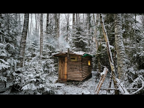 Getting My Forest Hut Ready for Winter | New Door Installed