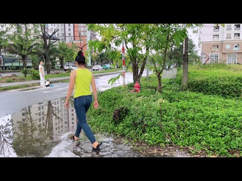 People are helpless when Sidewalks and Drains are covered with grass causing flooding