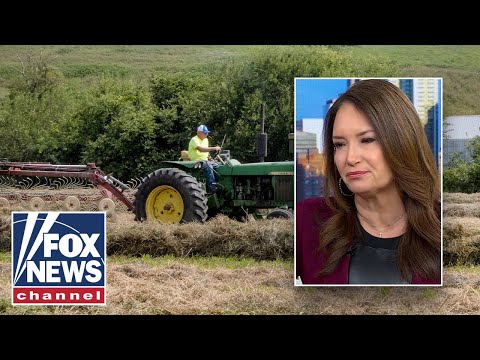 ‘PERFECT STORM’: Agriculture secretary reveals how Trump is fighting for farmers