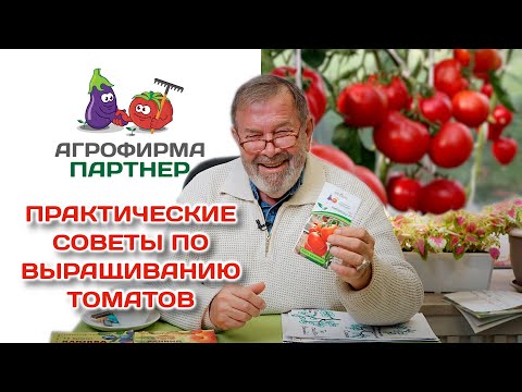 Новинки томатов | Советы по выращиванию | И немного об актинидии #лекция #огород