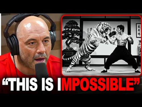 No One Believed These Bruce Lee Stories! Until They Watched This