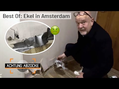 Verzweifelter Hilferuf! Ekel in Amsterdam?! 🤢 | BEST OF | Achtung Abzocke