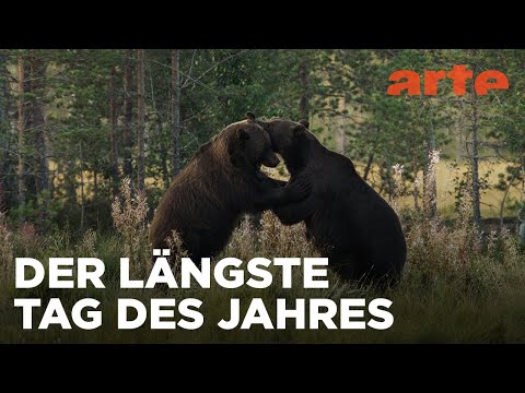 Rückkehr der Dunkelheit | Skandinavien Reupload | ARTE Fernweh