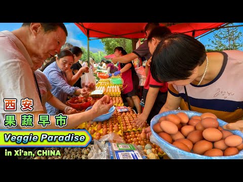Xi’an Morning Produce Market in China: Fresh Seasonal Veggies, Local Life, and Hidden Food Treasures