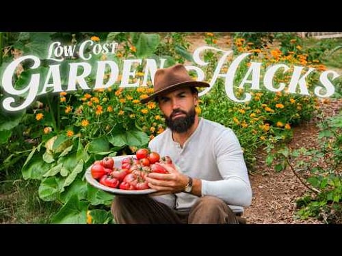 11 Genius Gardening Hacks Youโll Wish You Knew Sooner (Totally Free!)