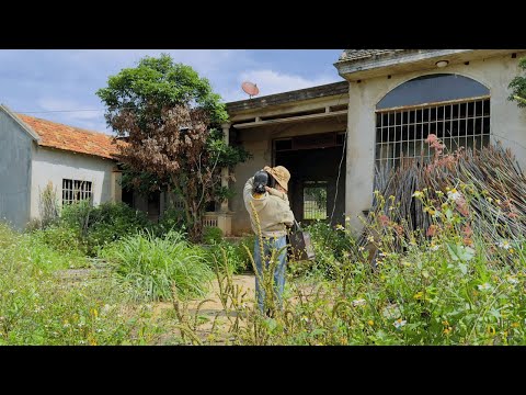 Single Mom Buys Abandoned House for $2,600 — Is Shocked by the Profit After Cleaning It Up
