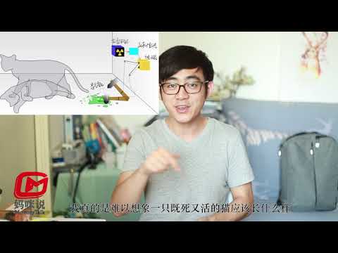 量子故事会(15)薛定谔的猫,一个被你误解了的思想实验