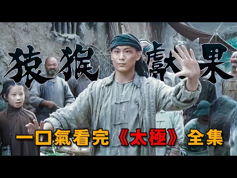 傻小子看一眼便學會太極拳法,他竟是百年難見的武學奇才,一口氣看完《太極》全集