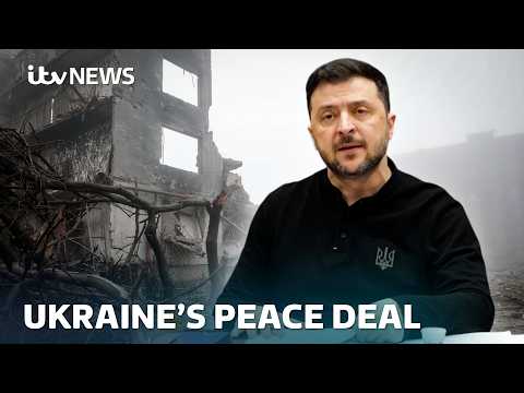 President Zelenskyy submits Ukraine's proposals for peace to the United States