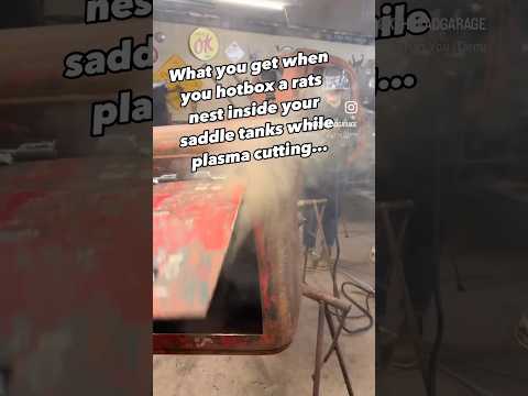 It smelled like burnt tires, goat pee, and rotten acorns.