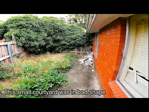 Garden Catastrophe Transformation | Watch me Cleanup this Mess