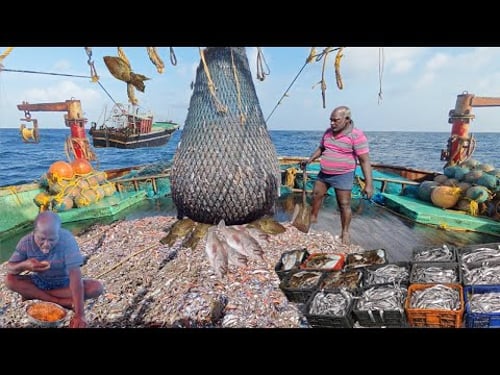 Day -6||Epic 2💢 Wonderful💯 Our Nets Were Filled With Big Sea Fish Today ‼️