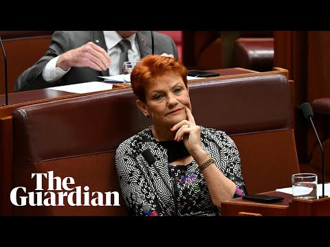 Pauline Hanson refuses to withdraw 'race-based' remarks against Mehreen Faruqi
