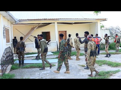 Somali terror group al-Shabab steals millions of Minnesota taxpayer money