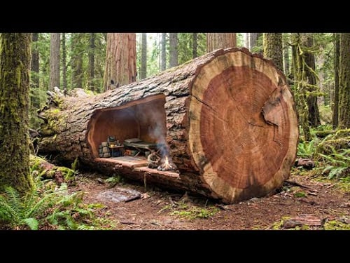 Building a house in the forest (ASMR) - This man built a mini house inside a tree trunk by himself