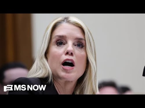 'Theatrics were so bad' at Bondi hearing SNL writers will be out of a job: Journalist